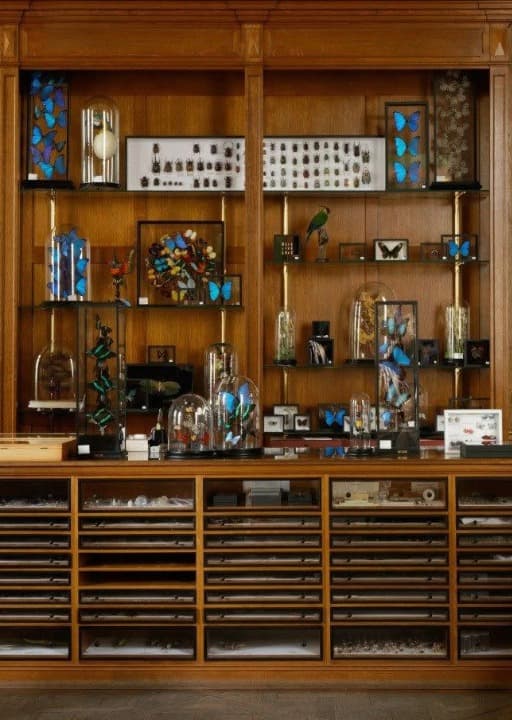 antique art objects antique art objects